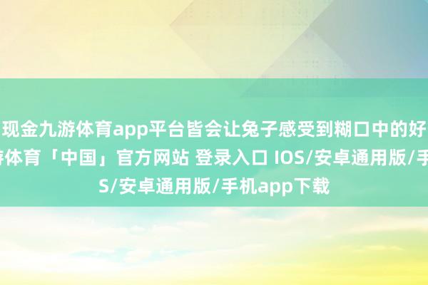 现金九游体育app平台皆会让兔子感受到糊口中的好意思好-九游体育「中国」官方网站 登录入口 IOS/安卓通用版/手机app下载