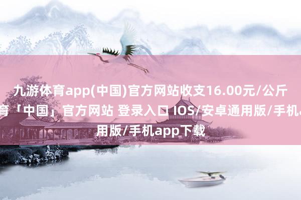 九游体育app(中国)官方网站收支16.00元/公斤-九游体育「中国」官方网站 登录入口 IOS/安卓通用版/手机app下载