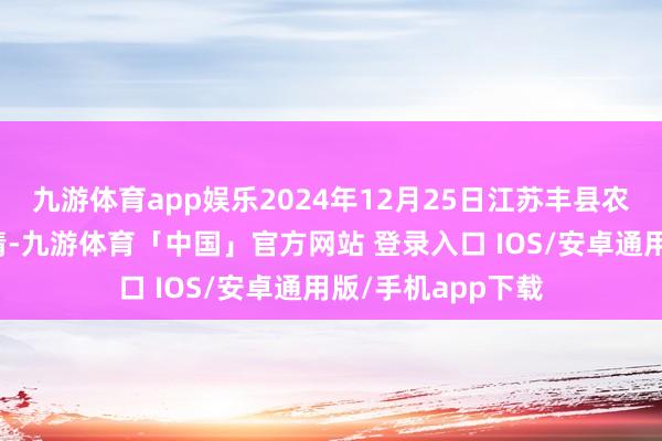 九游体育app娱乐2024年12月25日江苏丰县农业农村局价钱行情-九游体育「中国」官方网站 登录入口 IOS/安卓通用版/手机app下载