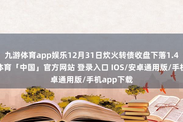九游体育app娱乐12月31日炊火转债收盘下落1.41%-九游体育「中国」官方网站 登录入口 IOS/安卓通用版/手机app下载