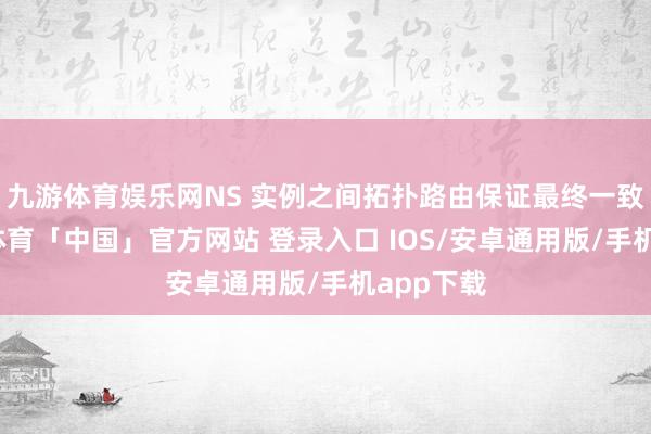 九游体育娱乐网NS 实例之间拓扑路由保证最终一致性-九游体育「中国」官方网站 登录入口 IOS/安卓通用版/手机app下载