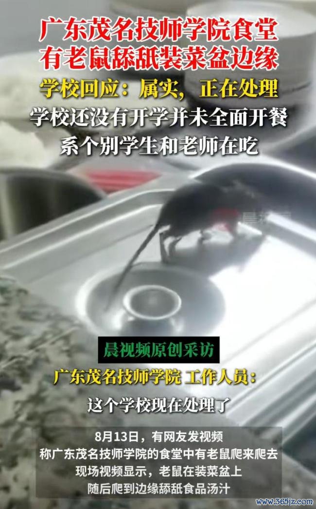 广东一学校食堂有老鼠舔餐盘 视频疯传校方复兴