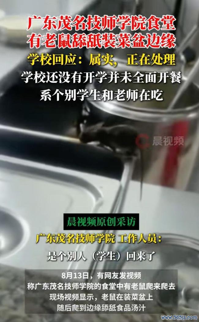 广东一学校食堂有老鼠舔餐盘