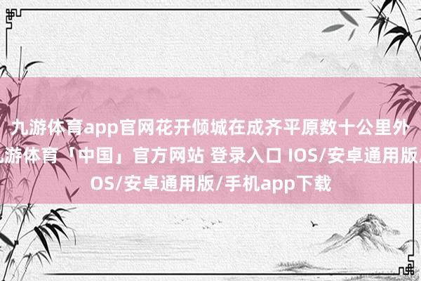 九游体育app官网花开倾城　　在成齐平原数十公里外的泰安古镇-九游体育「中国」官方网站 登录入口 IOS/安卓通用版/手机app下载