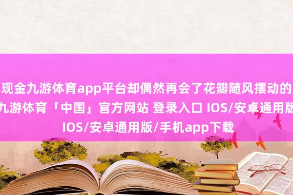 现金九游体育app平台却偶然再会了花瓣随风摆动的唯好意思画面-九游体育「中国」官方网站 登录入口 IOS/安卓通用版/手机app下载